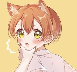 Rule 34 | 1girl, 1other, animal ears, blush, cat ears, commentary request, from behind, hair between eyes, hand on another&#039;s cheek, hand on another&#039;s face, hoshizora rin, looking at viewer, love live!, love live! school idol project, open mouth, orange hair, osono (jpku7757), portrait, pov, pov hands, shirt, short hair, short sleeves, sidelocks, upper body, v-shaped eyebrows, white shirt, yellow background, yellow eyes