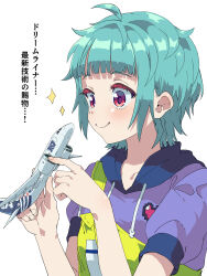 Rule 34 | 1girl, ahoge, blue hair, blunt bangs, closed mouth, commentary request, drawstring, hands up, highres, holding, holding toy, hood, hood down, hoodie, omega auru, pink eyes, pretty series, purple hoodie, short hair, short sleeves, simple background, smile, solo, toy, toy airplane, translation request, tsujii luki, upper body, waccha primagi!, white background