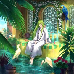 Rule 34 | 1other, bird, day, enkidu (fate), fate/grand order, fate (series), fish, flower, fountain, green hair, heron, highres, konji (yomn), lily (flower), long hair, parrot, plant, potted plant, robe, sitting, soaking feet, water, white robe, window