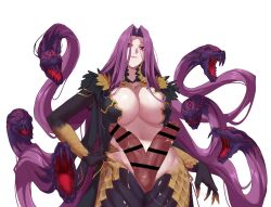 Rule 34 | 1girl, bar censor, breasts, censored, double penis, extra penises, fate/grand order, fate (series), futanari, gorgon (fate), hand on own hip, highres, huge breasts, lamia, long hair, medusa (fate), medusa (rider) (fate), monster girl, red eyes, rider, scales, snake hair, solo, todding, white background