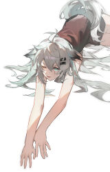 Rule 34 | 1girl, absurdres, animal ears, arknights, blue eyes, commentary request, grey hair, highres, lappland (arknights), long hair, looking ahead, lying, on stomach, one eye closed, outstretched arms, parted lips, rui (woyoudabing rui), scar, scar across eye, simple background, solo, tail, v-shaped eyebrows, variant set, white background, wolf ears, wolf tail