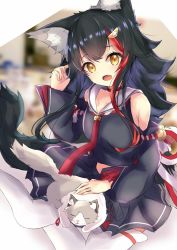 Rule 34 | 1girl, animal ear fluff, animal ears, bare shoulders, black hair, black shirt, black skirt, black sleeves, blurry, blurry background, blush, cat, commentary request, detached sleeves, fang, hair between eyes, hololive, karappo (poket12), long hair, looking at viewer, multicolored hair, necktie, ookami mio, ookami mio (1st costume), open mouth, red hair, red neckwear, shirt, sidelocks, sitting, skin fang, skirt, taiga (ookami mio), tail, thighhighs, two-tone hair, virtual youtuber, white thighhighs, wolf ears, wolf girl, wolf tail, yellow eyes, yokozuwari