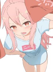 Rule 34 | 1girl, ahoge, blush, brown eyes, commentary, hair between eyes, hand on own hip, highres, leaning forward, long hair, looking at viewer, no pants, noren, onii-chan wa oshimai!, open mouth, oyama mahiro, pink hair, runep, shirt, short sleeves, sidelocks, simple background, solo, t-shirt, thigh gap, translated, white background, white shirt