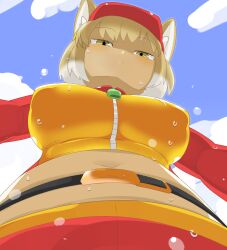 Rule 34 | 1girl, animal ear fluff, animal ears, belt, black belt, blue sky, blush, breasts, closed mouth, cloud, cowboy shot, crop top, expressionless, fox ears, fox girl, from below, half-closed eyes, hat, kemono friends, large breasts, lets0020, looking at viewer, looking down, medium bangs, navel, red hat, red skirt, shaded face, shirt, short hair, skirt, sky, solo, tibetan fox (kemono friends), yellow eyes, yellow shirt, zipper