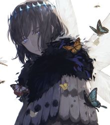 Rule 34 | 1boy, absurdres, blue eyes, bug, butterfly, crown, dragonfly, fate/grand order, fate (series), fur collar, highres, insect, insect wings, kotobuki nashiko, male focus, oberon (fate), oberon (third ascension) (fate), spoilers, white background, wings