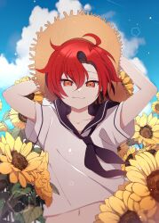 Rule 34 | 1boy, :3, absurdres, ahoge, arms behind head, black hair, blue sky, closed mouth, cloud, collarbone, commentary, english commentary, field, flower, flower field, hair between eyes, hat, highres, holostars, holostars english, light rays, looking at viewer, machina x flayon, male focus, navel, nekoromancer, red eyes, red hair, sailor collar, short hair, sky, standing, summer, sun hat, sunflower, sunflower field, upper body, virtual youtuber