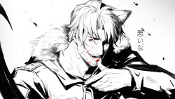 Rule 34 | 1boy, animal ear fluff, animal ears, belmond banderas, blood, blood on face, commentary request, fangs, fur-trimmed jacket, fur trim, gradient background, grey background, hand up, henrryxv, highres, jacket, kemonomimi mode, long sleeves, looking at viewer, male focus, monochrome, nijisanji, parted lips, red eyes, smile, solo, spot color, translation request, upper body, virtual youtuber, white background