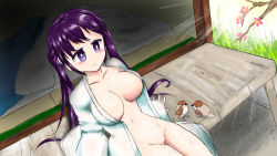 Rule 34 | 1girl, gochuumon wa usagi desu ka?, japanese house, no panties, purple hair, tedeza rize