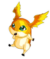 Rule 34 | digimon, digimon (creature), highres, looking at viewer, patamon, simple background, solo, white background, wings