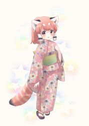 1girl absurdres alternate_costume back_bow belt black_hair bow floral_print_kimono full_body green_belt hair_between_eyes highres japanese_clothes kemono_friends kimono kuromitsu_(9633_kmfr) long_sleeves looking_at_viewer multicolored_hair obi okobo orange_eyes orange_hair pink_kimono ponytail red_panda_(kemono_friends) red_panda_ears red_panda_girl red_panda_tail sandals sash sidelocks solo white_hair