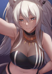 Rule 34 | 1girl, animal ears, armpits, bare shoulders, black shirt, breasts, cleavage, closed mouth, crop top, ear piercing, grey eyes, grey hair, grey skirt, hair between eyes, highres, hololive, jewelry, jirofly, kabedon, large breasts, lion ears, lion girl, lion tail, long hair, looking at viewer, messy hair, necklace, outstretched arm, piercing, see-through, see-through cleavage, shirt, shishiro botan, shishiro botan (1st costume), sidelocks, skin tight, skirt, sleeveless, sleeveless shirt, smile, solo, tail, two side up, virtual youtuber