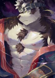 Rule 34 | 1boy, abs, absurdres, alternate costume, animal ears, bara, frown, furry, furry male, grey hair, headband, highres, horkeu kamui, japanese clothes, kimono, large pectorals, male focus, mowang yu, multicolored hair, muscular, nipples, pectorals, simple background, solo, tokyo houkago summoners, undressing, upper body