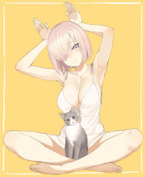 Rule 34 | 1girl, armpits, arms up, bare legs, barefoot, blush, breasts, cat, cleavage, collarbone, dress, fate/grand order, fate (series), hair over one eye, highres, indian style, large breasts, looking at viewer, mash kyrielight, panties, pantyshot, pink hair, purple eyes, rabbit pose, short dress, simple background, sitting, smile, solo, throtem, underwear, white dress, white panties, yellow background