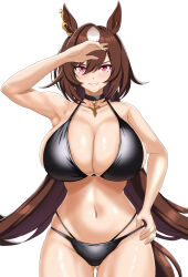 Rule 34 | 1girl, absurdres, alternate costume, animal ears, arm up, armpits, beach, bikini, black bikini, black choker, breasts, brown hair, choker, cleavage, commentary request, cowboy shot, ear ornament, hand on own hip, highres, horse ears, horse girl, horse tail, jewelry, large breasts, looking at viewer, multicolored hair, navel, necklace, ocean, outdoors, red eyes, simple background, sirius symboli (umamusume), solo, streaked hair, swimsuit, tail, tessa (uma orfevre), umamusume, water, white background, white hair