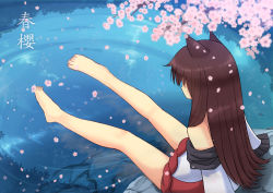 Rule 34 | 1girl, absurdres, animal ears, anna sakura, bare legs, barefoot, brown hair, cherry blossoms, dress, frilled sleeves, frills, highres, imaizumi kagerou, long hair, long sleeves, off shoulder, petals, ripples, rock, sitting, sitting on rock, toenails, touhou, water, wolf ears