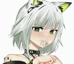 Rule 34 | 1girl, animal ear fluff, animal ears, ao oni (onioni-aoi), arknights, bare shoulders, black collar, blush, bright pupils, cat ears, cat girl, close-up, coffee, collar, colored eyelashes, commentary request, dripping, embarrassed, green eyes, hand up, highres, kal&#039;tsit (arknights), liquid, looking at viewer, material growth, oripathy lesion (arknights), parted lips, portrait, short hair, simple background, solo, white background, white hair, white pupils