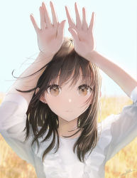 Rule 34 | 1girl, arms up, black hair, blurry, depth of field, dress, expressionless, frilled dress, frills, highres, looking at viewer, medium hair, ojay tkym, original, outdoors, portrait, rabbit pose, resolution mismatch, shiny skin, short sleeves, solo, source larger, wheat field, white dress