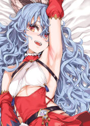 Rule 34 | 1girl, animal ears, armpits, asanagi, bed sheet, blue hair, breasts, detached sleeves, erune, fangs, ferry (granblue fantasy), ferry (santa minidress) (granblue fantasy), granblue fantasy, hair between eyes, highres, long hair, looking at viewer, lying, medium breasts, official alternate costume, on back, open mouth, orange eyes, red sleeves, solo, teeth, underboob, upper teeth only