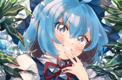Rule 34 | 1girl, blue bow, blue eyes, blue hair, blue vest, bow, cirno, collared shirt, commentary request, fingers to mouth, grin, hair between eyes, looking at viewer, medium hair, neck ribbon, plant, portrait, red ribbon, ribbon, shirt, signature, smile, solo, touhou, uchisaki himari, vest, water drop, white shirt