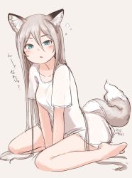 Rule 34 | 1girl, animal ears, blue eyes, blush, colored eyelashes, fox ears, fox tail, highres, long hair, looking at viewer, nosuku, open mouth, original, see-through, shirt, silver hair, simple background, sitting, sketch, solo, t-shirt, tail, translation request, v arms, very long hair, wariza