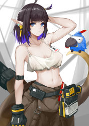 Rule 34 | 1girl, absurdres, arknights, arm up, armband, bare arms, bare shoulders, bird, black gloves, black hair, blue eyes, blue hair, camisole, chinese commentary, commentary request, cowboy shot, crop top, eunectes (arknights), eunectes (forgemaster) (arknights), gloves, grey pants, high priest (arknights), highres, looking at viewer, midriff, multicolored hair, navel, official alternate costume, pants, partial commentary, pointy ears, short hair, snake tail, solo, spaghetti strap, standing, stomach, sue yanagi-san, tail
