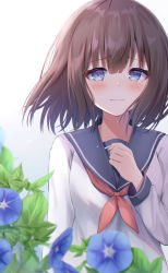 Rule 34 | 1girl, absurdres, black sailor collar, blue eyes, blue flower, blurry, blurry foreground, blush, breasts, brown hair, closed mouth, commentary request, depth of field, flower, gradient background, grey background, hair between eyes, hand up, highres, long sleeves, looking at viewer, morning glory, neckerchief, original, red neckerchief, sailor collar, school uniform, serafuku, shirt, small breasts, smile, solo, tears, umineco 1, upper body, white background, white shirt