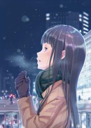 Rule 34 | 1girl, absurdres, black hair, blush, breath, city, coat, gloves, highres, long hair, michinoku (hiking miusan18), night, open mouth, original, outdoors, profile, purple eyes, scarf, snow, upper body, winter clothes