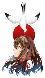 Rule 34 | 1girl, absurdres, aircraft, akagi (kancolle), arrow (projectile), bird, brown hair, closed mouth, cropped shoulders, from side, hair between eyes, highres, japanese clothes, jitsukawa ashi, kantai collection, long hair, profile, rising sun flag, simple background, sunburst, tasuki, two-tone background, yellow eyes