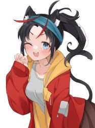 Rule 34 | 1girl, animal ear fluff, animal ears, black hair, blue eyes, blue headband, borrowed character, breasts, cat ears, claw pose, collarbone, commentary, english commentary, fang, genderswap, genderswap (mtf), grey shirt, headband, jacket, kemonomimi mode, leaning forward, medium breasts, moenaomii (artist), one eye closed, open mouth, original, parted bangs, ponytail, red jacket, shirt, smile, solo, v-shaped eyebrows