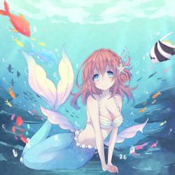 Rule 34 | 1girl, air bubble, bad id, bad pixiv id, blue eyes, breasts, brown hair, bubble, cinopain, cleavage, coral hair ornament, fish, hair ornament, highres, looking at viewer, medium breasts, mermaid, midriff, monster girl, smile, solo, star (symbol), star hair ornament, underwater