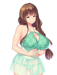 Rule 34 | 1girl, :&gt;, armpits, bare shoulders, bikini, braid, breasts, brown hair, cleavage, closed mouth, covered navel, cowboy shot, eyebrows hidden by hair, female focus, game cg, green eyes, half-closed eyes, large breasts, legs, long hair, looking at viewer, nonomiya minori, original, own hands together, see-through, shiokonbu, single braid, sister lesson, smile, solo, standing, swimsuit, tachi-e, thighs, transparent background