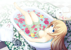 Rule 34 | 1girl, aka (shoumae), bad id, bad pixiv id, barefoot, bath, bathing, bathtub, blonde hair, blue eyes, book, breasts, cat, dress, flower, looking at viewer, looking up, nipples, nude, original, petals, red flower, red rose, ribbon-trimmed clothes, ribbon trim, rose, rose petals, rubber duck, solo, tiles