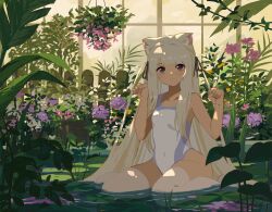 Rule 34 | 1girl, absurdres, animal ear fluff, animal ears, bare legs, blonde hair, cat ears, cat girl, closed mouth, fence, flower, hair intakes, hanging plant, highres, hydrangea, indoors, kgt (pixiv12957613), lily pad, long hair, looking at viewer, one-piece swimsuit, original, partially submerged, paw pose, pink flower, plant, purple eyes, purple flower, seiza, sidelocks, sitting, smile, solo, swimsuit, vegetation, water, white one-piece swimsuit, window