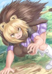 Rule 34 | 1girl, animal ears, barbary lion (kemono friends), blonde hair, boots, cardigan, extra ears, grey hair, highres, kemono friends, lion ears, lion girl, lion tail, long hair, multicolored hair, nature, necktie, okyao, outdoors, scarf, shirt, skirt, solo, tail, two-tone hair, yellow eyes