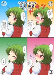 Rule 34 | 1girl, ^ ^, blush, closed eyes, commentary request, closed eyes, from behind, green hair, highres, juliet sleeves, kazami yuuka, long sleeves, looking at viewer, looking back, mikazuki neko, multiple views, plaid, puffy sleeves, smile, touhou, translation request, tsundere, unmoving pattern, vest