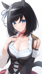 Rule 34 | 1girl, absurdres, animal ears, black hair, blue eyes, blue ribbon, blush, breasts, choker, cleavage, closed mouth, corset, eishin flash (umamusume), frills, hair ribbon, hand on own chest, highres, hiroserii, horse ears, horse girl, large breasts, looking at viewer, red choker, ribbon, shadow, short hair, smile, solo, swept bangs, umamusume, upper body, white background