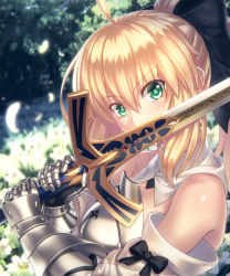 Rule 34 | 1girl, armor, artoria pendragon (all), artoria pendragon (fate), bare shoulders, black bow, blonde hair, blurry, bow, caliburn (fate), covered mouth, depth of field, detached sleeves, excalibur (fate/stay night), eyebrows, fate/grand order, fate/unlimited codes, fate (series), feathers, flower, garden, gauntlets, green eyes, hair between eyes, hair bow, highres, holding, holding sword, holding weapon, kaina (tsubasakuronikuru), lily (flower), long hair, looking at viewer, ponytail, saber (fate), saber lily, sidelocks, solo, sword, upper body, weapon, white flower