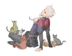 Rule 34 | 1boy, animal, animal ears, animal on lap, animal on shoulder, animalization, arm support, astarion, baldur&#039;s gate, baldur&#039;s gate 3, belt, black footwear, black jacket, black pants, cat, cat ears, cat on lap, cat on shoulder, chinese commentary, commentary request, dated, dungeons &amp; dragons, elf, frilled sleeves, frills, from behind, full body, indian style, jacket, karlach, kemonomimi mode, lae&#039;zel, leaning back, long sleeves, looking at viewer, looking back, male focus, on lap, pants, parted lips, pointy ears, red eyes, shadowheart (baldur&#039;s gate), shoes, short hair, signature, simple background, sitting, smile, solo, white background, white hair, yoku (liuyc)
