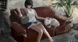 Rule 34 | 1girl, absurdres, animal, black hair, cat, couch, female focus, food, headpat, highres, ktkaaai, original, plant, popsicle, potted plant, shorts, sitting, sleeveless