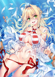 Rule 34 | 1girl, bikini, bikini bottom pull, blonde hair, braid, breasts, cameltoe, cleavage, fate/grand order, fate (series), green eyes, hair intakes, halterneck, highres, large breasts, long hair, looking at viewer, nero claudius (fate), nero claudius (fate) (all), nero claudius (swimsuit caster) (fate), nero claudius (swimsuit caster) (third ascension) (fate), obiwan, open mouth, shiny skin, side-tie bikini bottom, solo, striped bikini, striped clothes, swimsuit, underwater