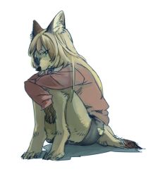 Rule 34 | 10s, animalization, artist request, blonde hair, character request, furry, kemono friends, long hair, tears