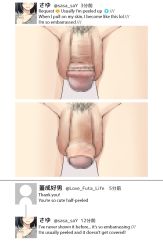 Rule 34 | 1girl, artist request, censored, close-up, fake screenshot, flaccid, futanari, large penis, mosaic censoring, penis, solo, tagme, testicles