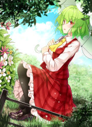 Rule 34 | 1girl, aka tawashi, ascot, black footwear, black pantyhose, blue sky, blush, breasts, cloud, commentary request, day, dutch angle, flower, full body, grass, green hair, hair between eyes, high heels, highres, holding, holding umbrella, kazami yuuka, leaf, loafers, long sleeves, looking at viewer, medium breasts, on one knee, outdoors, pantyhose, parted lips, petticoat, pink flower, plaid, plaid skirt, plaid vest, red eyes, red skirt, red vest, shirt, shoes, short hair, skirt, skirt set, sky, solo, touhou, umbrella, vest, white flower, white shirt, white umbrella, wing collar, yellow ascot, yellow flower