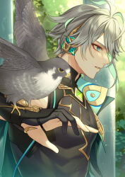 Rule 34 | 1boy, alhaitham (genshin impact), animal, animal on hand, bird, bird on hand, black gloves, black shirt, blue eyes, commentary request, day, eyebrows hidden by hair, from side, genshin impact, gloves, grey hair, hair between eyes, highres, karokuchitose, male focus, outdoors, parted lips, partially fingerless gloves, profile, shirt, sleeveless, sleeveless shirt, solo, thick eyebrows, upper body
