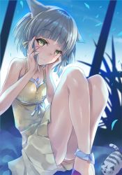 Rule 34 | 1girl, animal ears, blunt bangs, blush, cat ears, dress, embarrassed, inoue takuya (tactactak), looking at viewer, nia (fancy sundress) (xenoblade), nia (xenoblade), short hair, silver hair, simple background, smile, solo, spoilers, sundress, xenoblade chronicles (series), xenoblade chronicles 2, yellow eyes