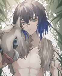 Rule 34 | 1boy, animal, aqua eyes, bad id, bad pixiv id, bare shoulders, black hair, blue eyes, blue hair, boar mask, bug, butterfly, collarbone, eyelashes, eyeshadow, gradient hair, hair between eyes, hashibira inosuke, holding, holding mask, insect, kimetsu no yaiba, light particles, looking at viewer, makeup, male focus, mask, unworn mask, multicolored hair, orange eyeshadow, parted lips, plant, single bare shoulder, slit pupils, soji 777, solo, teeth, toned, toned male, topless male, upper body, white butterfly