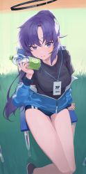 Rule 34 | 1girl, absurdres, black footwear, black shirt, blue archive, blue buruma, blue eyes, blush, bottle, breasts, buruma, chair, closed mouth, day, grass, gym uniform, hair between eyes, halo, highres, holding, holding bottle, id card, jacket, lanyard, long hair, long sleeves, looking at viewer, medium breasts, official alternate costume, outdoors, partially unzipped, ponytail, purple hair, sb lama, shirt, shoes, sitting, solo, star sticker, sticker, sticker on face, sweat, very long hair, yuuka (blue archive), yuuka (track) (blue archive)