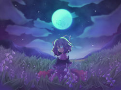 Rule 34 | 1girl, absurdres, blonde hair, blue eyes, capelet, female focus, field, flower, flower field, from behind, full moon, hair ribbon, highres, lily of the valley, looking back, medicine melancholy, mito (calcomer), moon, night, ribbon, short hair, solo, standing, star (sky), tears, touhou, wallpaper