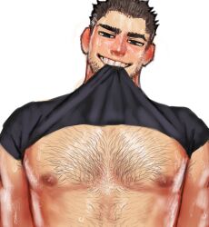 Rule 34 | 1boy, absurdres, bara, beard stubble, black hair, blush, chest hair, clothes in mouth, ear blush, facial hair, head tilt, highres, large pectorals, looking at viewer, lucas lee, male focus, mouth hold, muscular, muscular male, nipples, oko (07oko), pectoral focus, pectorals, scott pilgrim (series), scott pilgrim takes off, seductive smile, shiny skin, shirt, shirt in mouth, short hair, short sleeves, smile, solo, stubble, sweat, t-shirt, thick eyebrows, tight clothes, tight shirt, upper body, very sweaty