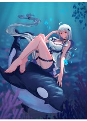 Rule 34 | 1girl, absurdly long hair, absurdres, ahoge, albino, animal, arknights, bare arms, bare shoulders, barefoot, bird, black shorts, blouse, breasts, cleavage, closed mouth, coral, dhsl, full body, highres, knees up, large breasts, light rays, long hair, looking at viewer, low-tied long hair, off shoulder, orca, orca hair ornament, red eyes, shirt, short shorts, shorts, sitting, skadi (arknights), skadi (waverider) (arknights), sleeveless, sleeveless shirt, smile, solo, thigh strap, underwater, very long hair, white hair, white shirt